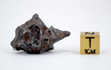 13.87g Amazing SERICHO Pallasite Meteorite with natural hole