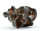 16.26g Amazing Complete SERICHO Pallasite Meteorite