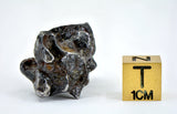 18.04g Amazing SERICHO Pallasite Meteorite