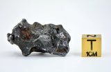 18.04g Amazing SERICHO Pallasite Meteorite
