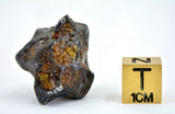 19.41g Amazing SERICHO Pallasite Meteorite