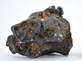 19.41g Amazing SERICHO Pallasite Meteorite