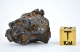19.41g Amazing SERICHO Pallasite Meteorite
