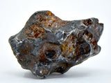 19.41g Amazing SERICHO Pallasite Meteorite