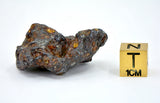 23.05g Amazing SERICHO Pallasite Meteorite