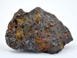 23.05g Amazing SERICHO Pallasite Meteorite
