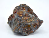 23.05g Amazing SERICHO Pallasite Meteorite