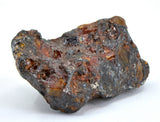 23.05g Amazing SERICHO Pallasite Meteorite