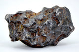 45.76g Amazing SERICHO Pallasite Meteorite