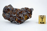 45.76g Amazing SERICHO Pallasite Meteorite