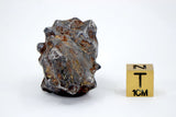 45.76g Amazing SERICHO Pallasite Meteorite