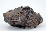 45.76g Amazing SERICHO Pallasite Meteorite