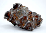 46.80g Amazing SERICHO Pallasite Meteorite