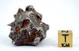 46.80g Amazing SERICHO Pallasite Meteorite
