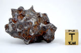 46.80g Amazing SERICHO Pallasite Meteorite