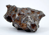 46.80g Amazing SERICHO Pallasite Meteorite