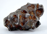 46.80g Amazing SERICHO Pallasite Meteorite
