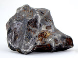 57.08g Amazing SERICHO Pallasite Meteorite