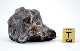 57.08g Amazing SERICHO Pallasite Meteorite