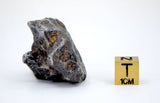 57.08g Amazing SERICHO Pallasite Meteorite
