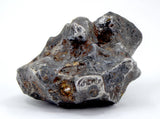 57.08g Amazing SERICHO Pallasite Meteorite