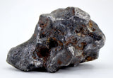 57.08g Amazing SERICHO Pallasite Meteorite