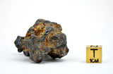 61.77g Amazing SERICHO Pallasite Meteorite Beautiful Olivine Crystals
