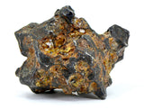 61.77g Amazing SERICHO Pallasite Meteorite Beautiful Olivine Crystals