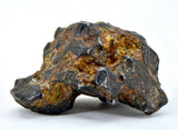 61.77g Amazing SERICHO Pallasite Meteorite Beautiful Olivine Crystals