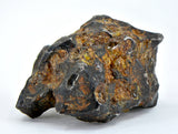61.77g Amazing SERICHO Pallasite Meteorite Beautiful Olivine Crystals