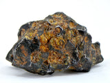 61.77g Amazing SERICHO Pallasite Meteorite Beautiful Olivine Crystals