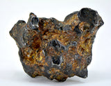 61.77g Amazing SERICHO Pallasite Meteorite Beautiful Olivine Crystals