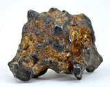61.77g Amazing SERICHO Pallasite Meteorite Beautiful Olivine Crystals