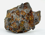 74.93g Amazing SERICHO Pallasite Meteorite
