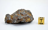 74.93g Amazing SERICHO Pallasite Meteorite