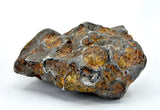 74.93g Amazing SERICHO Pallasite Meteorite