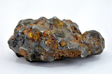 74.93g Amazing SERICHO Pallasite Meteorite