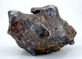 82.28g Amazing SERICHO Pallasite Meteorite
