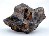 82.28g Amazing SERICHO Pallasite Meteorite