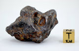 82.28g Amazing SERICHO Pallasite Meteorite