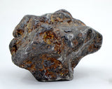 82.28g Amazing SERICHO Pallasite Meteorite