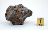 82.28g Amazing SERICHO Pallasite Meteorite