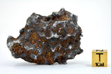 82.55g Amazing Complete SERICHO Pallasite Meteorite