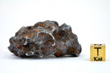 82.55g Amazing Complete SERICHO Pallasite Meteorite