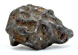 87.52g Amazing SERICHO Pallasite Meteorite