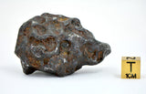 87.52g Amazing SERICHO Pallasite Meteorite