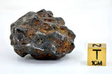 87.52g Amazing SERICHO Pallasite Meteorite