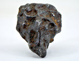 87.52g Amazing SERICHO Pallasite Meteorite