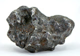 72.06g Amazing SERICHO Pallasite Meteorite