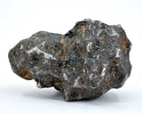 72.06g Amazing SERICHO Pallasite Meteorite